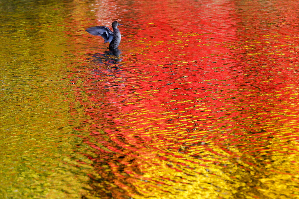 APTOPIX Japan Daily Life